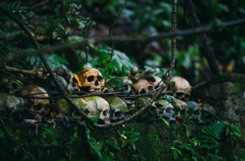 skulls in jungle