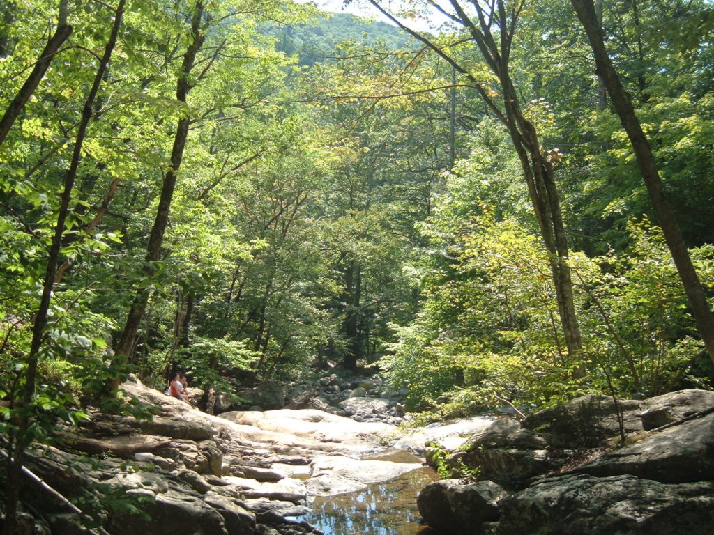 Shenandoah Mountains Field Trip