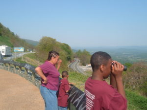 safari park - Brown's field trip