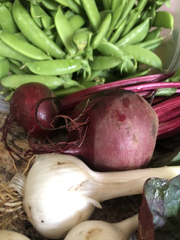 Fresh beets,garlic, and peas from garden
