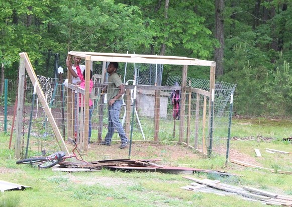 Walk-in Chicken coop