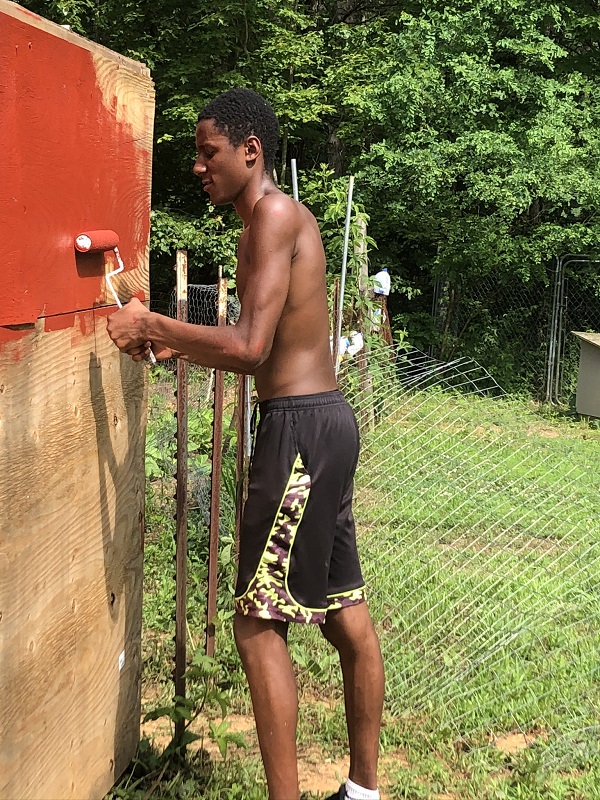 walk-in chicken coop