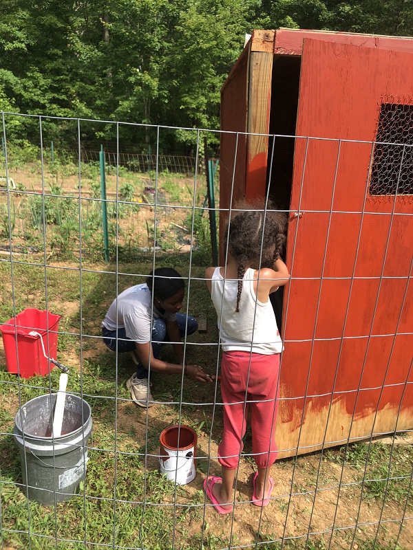 walk-in chicken coop