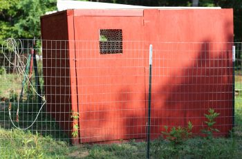 Walk-in chicken coop