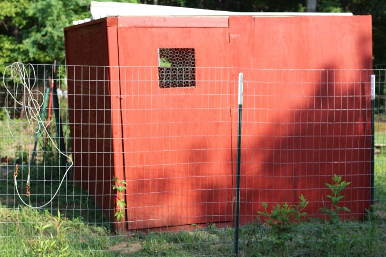 Walk-in chicken coop