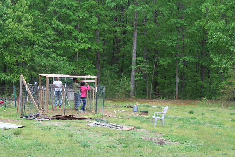 walk-in chicken coop frame