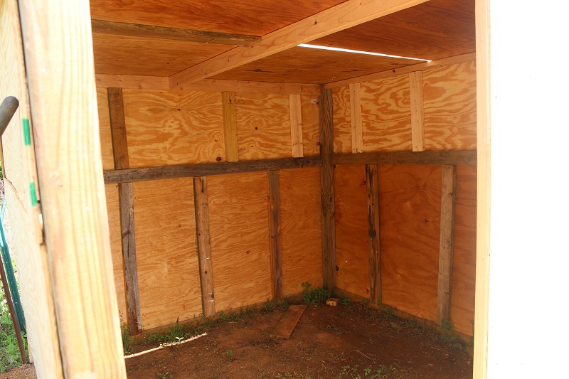 Walk-in chicken coop