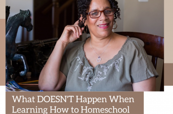 Homeschool consulting