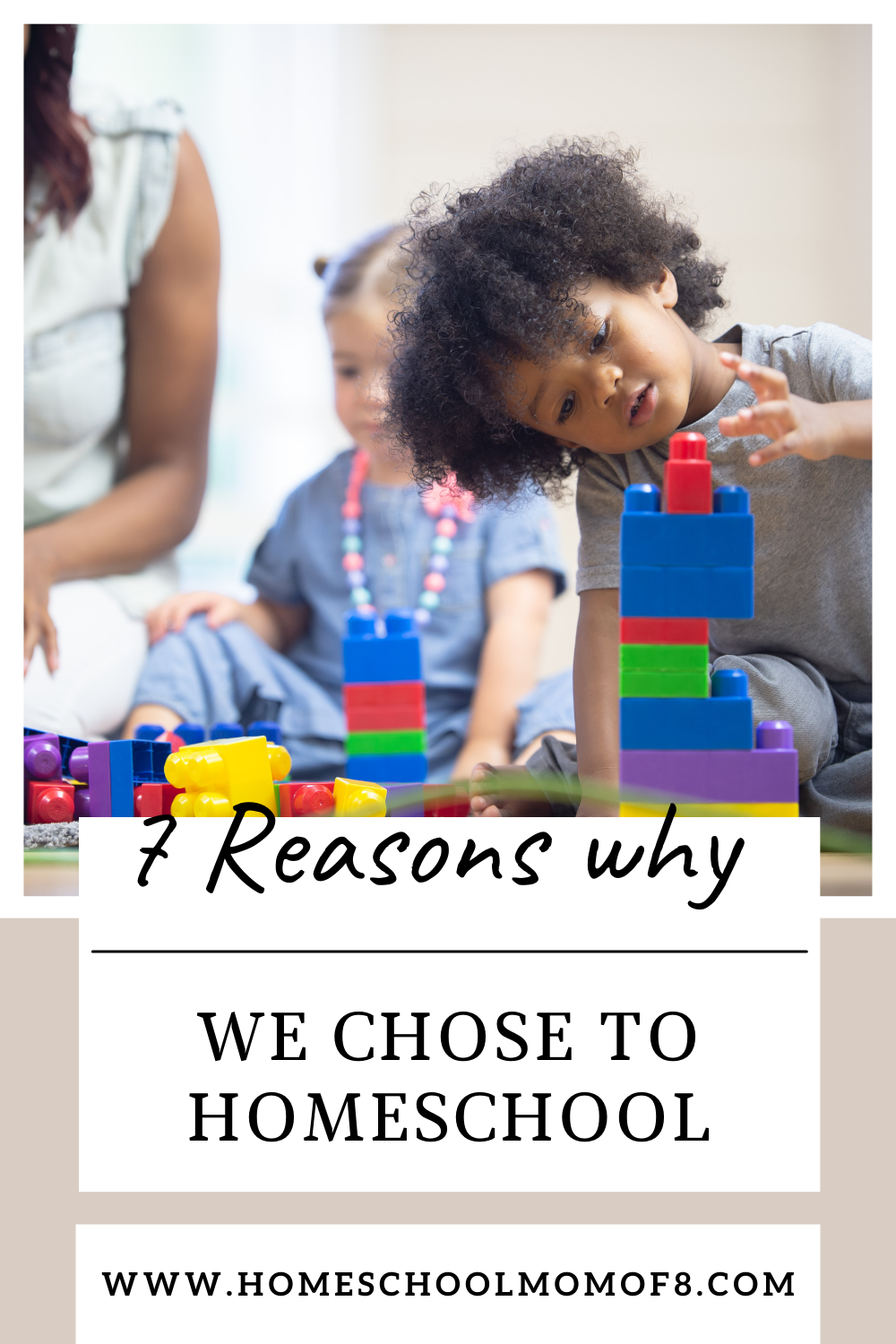 7 Reasons Why We Chose to Homeschool - HomeSchool Mom of 8