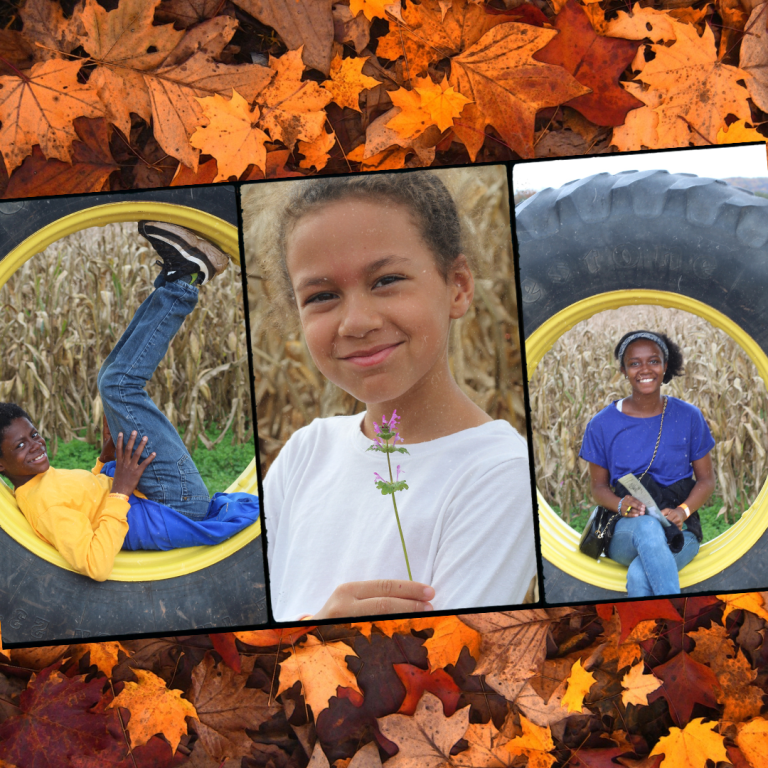 Fall Fun